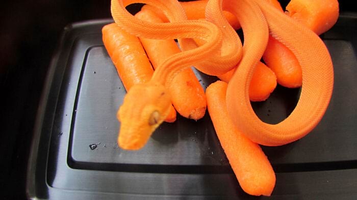 image-20240409130048-6