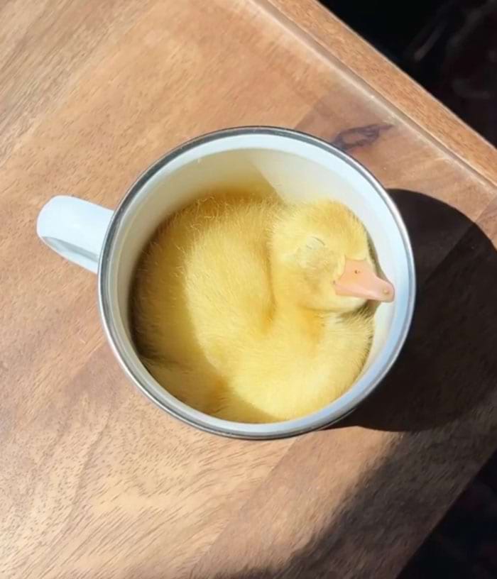 image-20240409130051-7