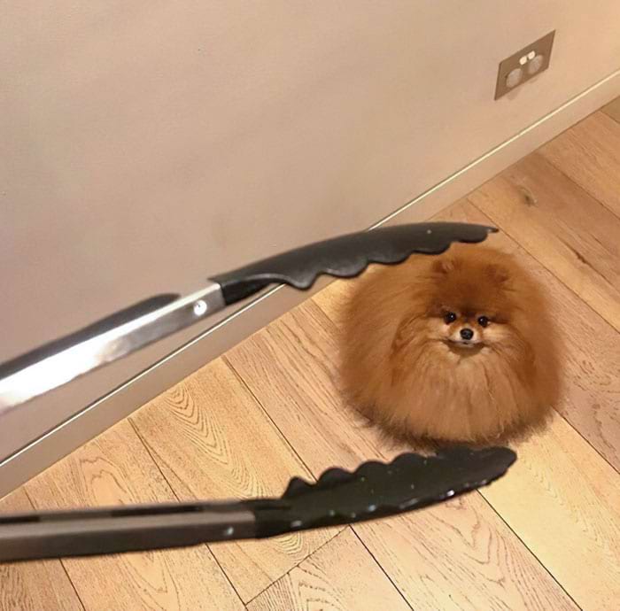 image-20240409130212-12