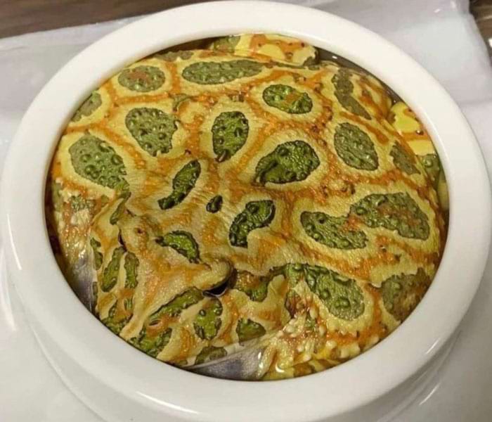 image-20240409130216-13