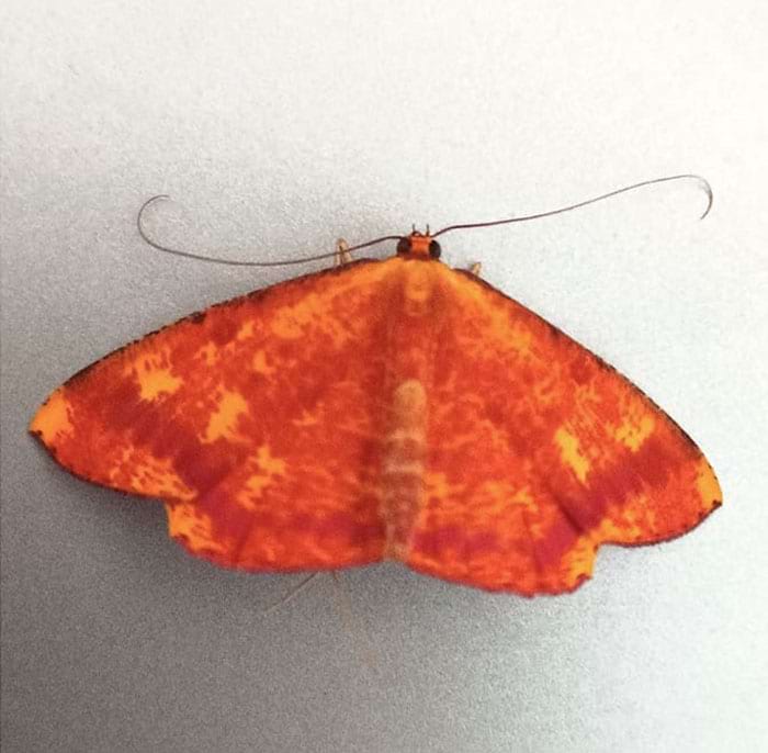 image-20240409130219-14