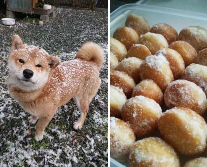 image-20240409130225-16