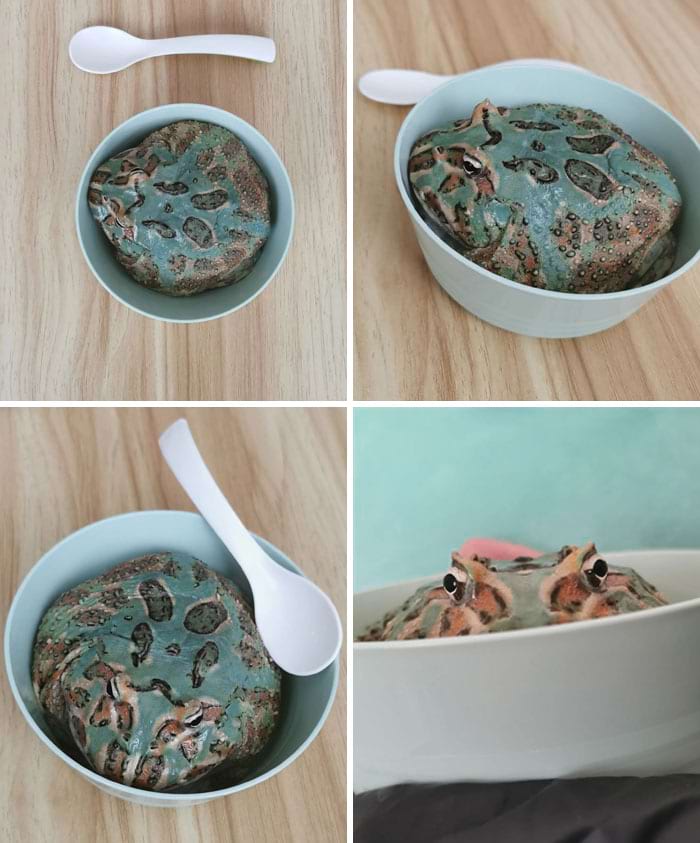 image-20240409130228-17