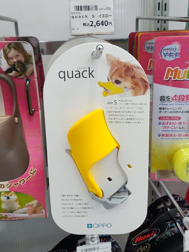 image-20240410115618-16