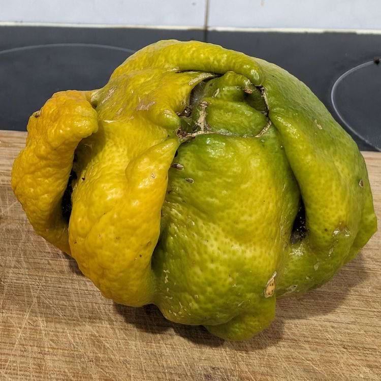 image-20240410135849-6