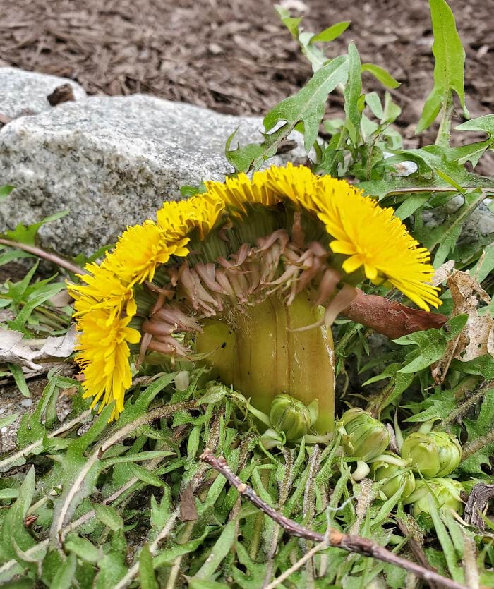 image-20240410135854-8