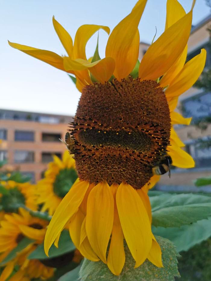 image-20240410135859-9