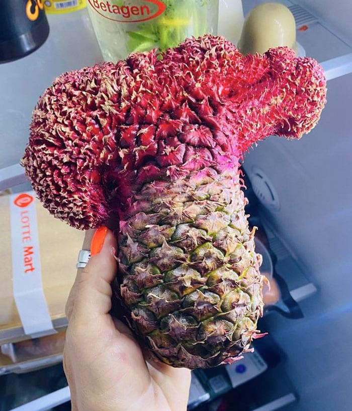 image-20240410135913-13