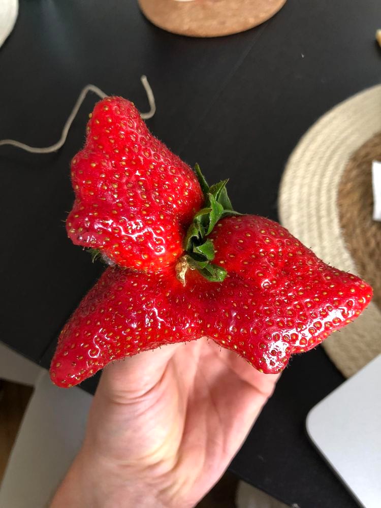 image-20240410135915-14