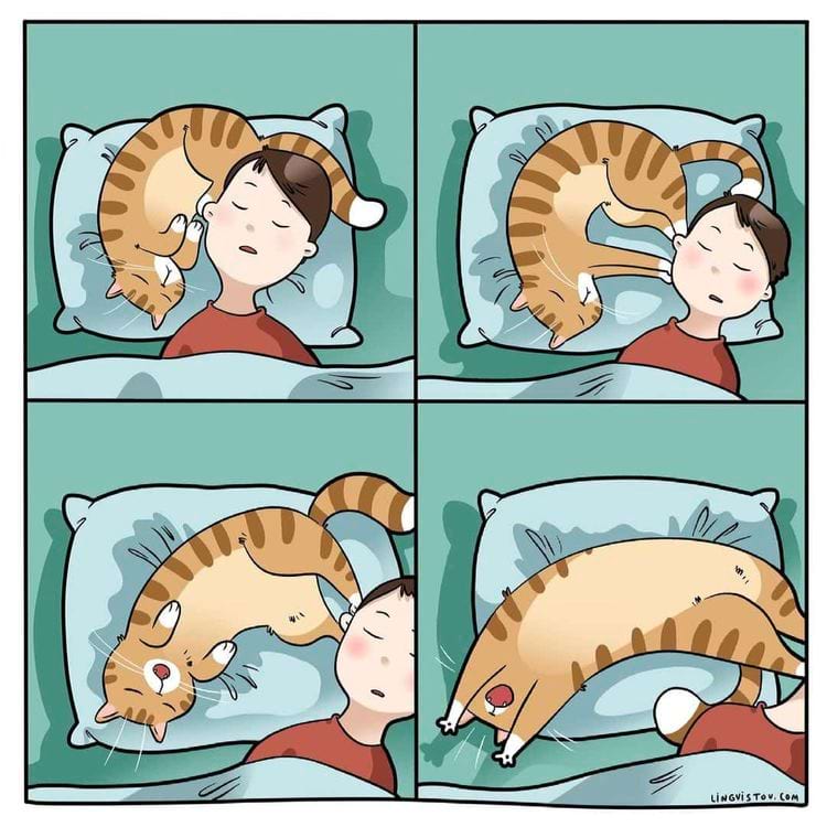 image-20240412120602-13