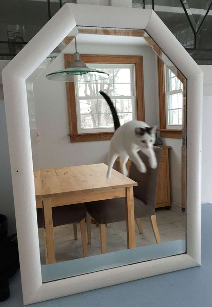 image-20240415104006-1