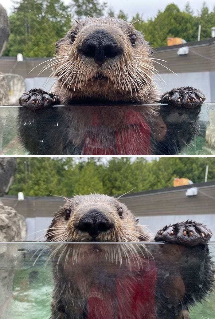 image-20240416112408-3