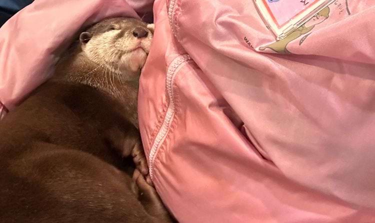 image-20240416112501-8