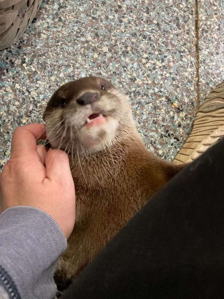 image-20240416112554-11