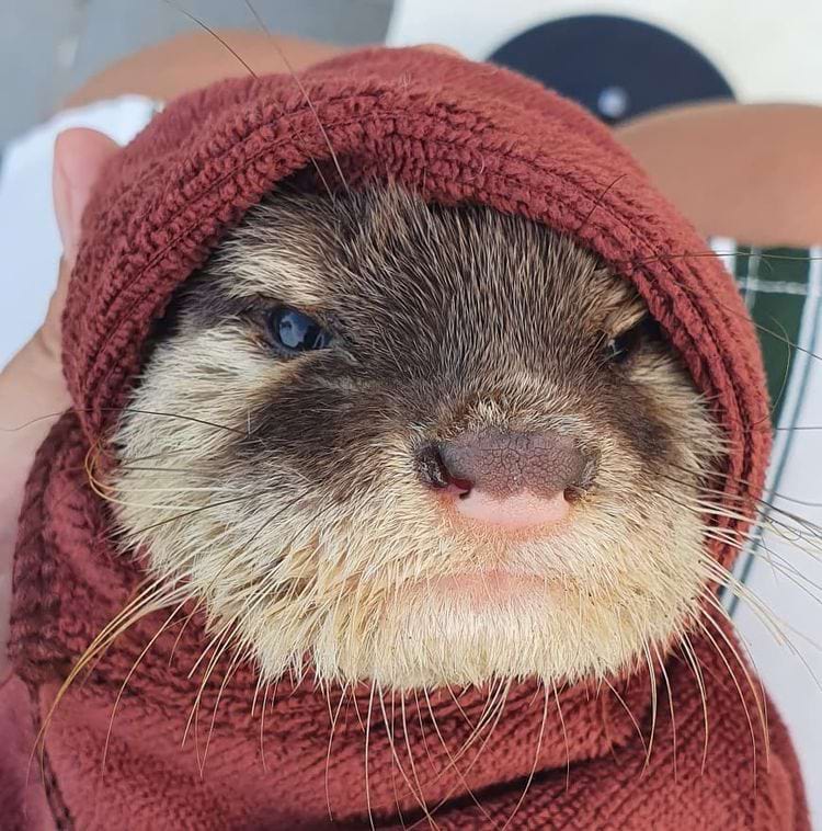 image-20240416112557-12