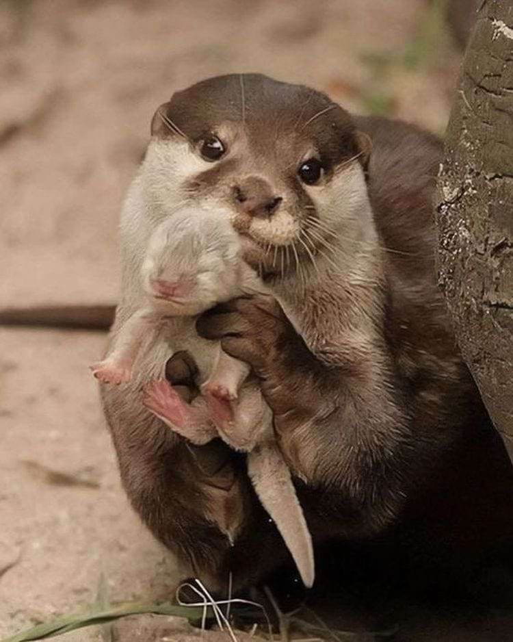 image-20240416112604-14