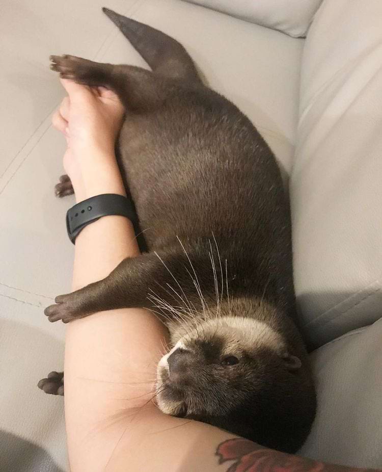 image-20240416112607-15