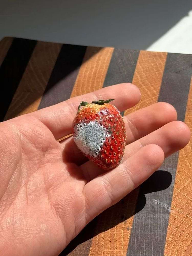 image-20240417133825-13