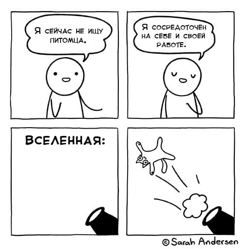 image-20240419095527-5