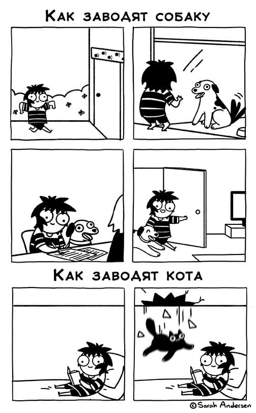 image-20240419095536-8