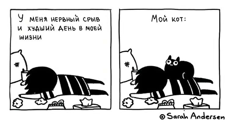 image-20240419095607-17