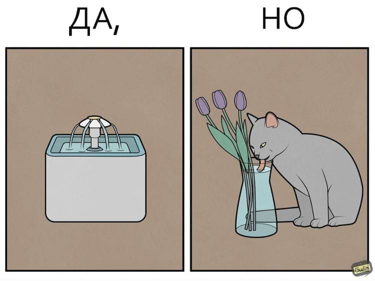 image-20240422095318-7