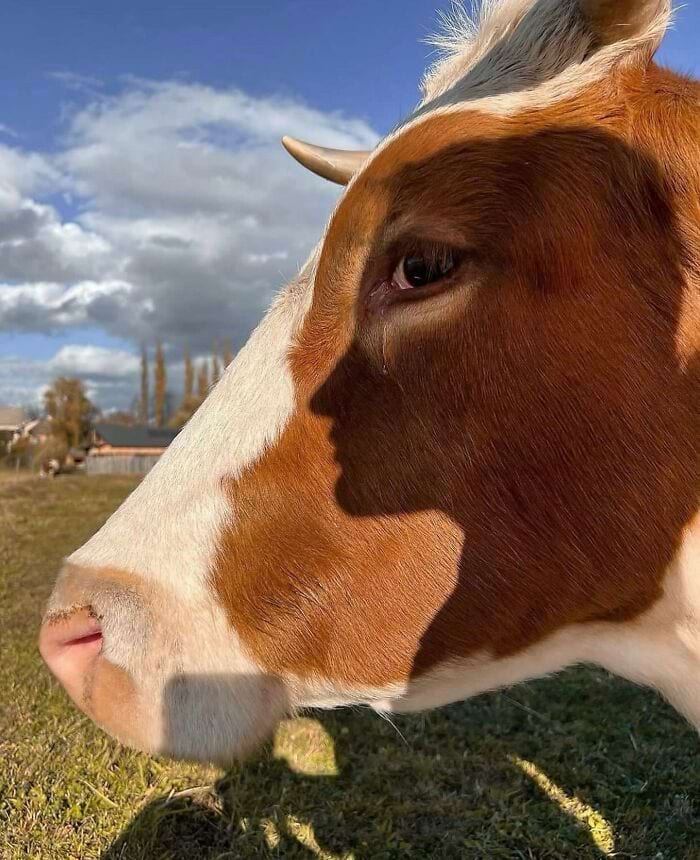 image-20240422103306-3