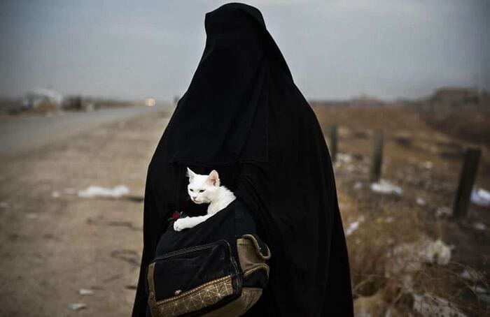 image-20240422103309-4