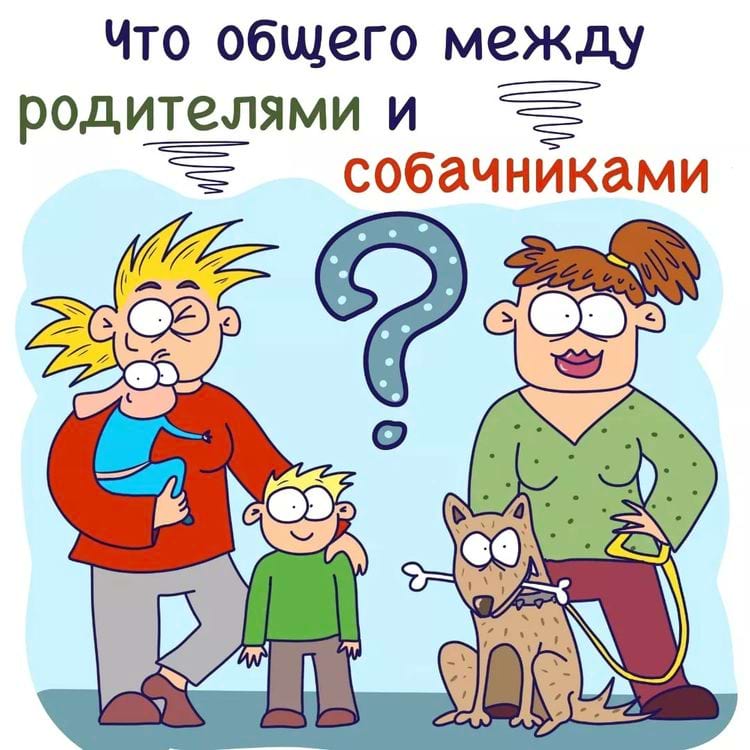 image-20240423122017-9