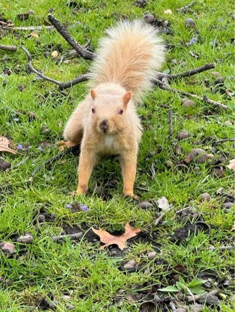 image-20240423151539-1