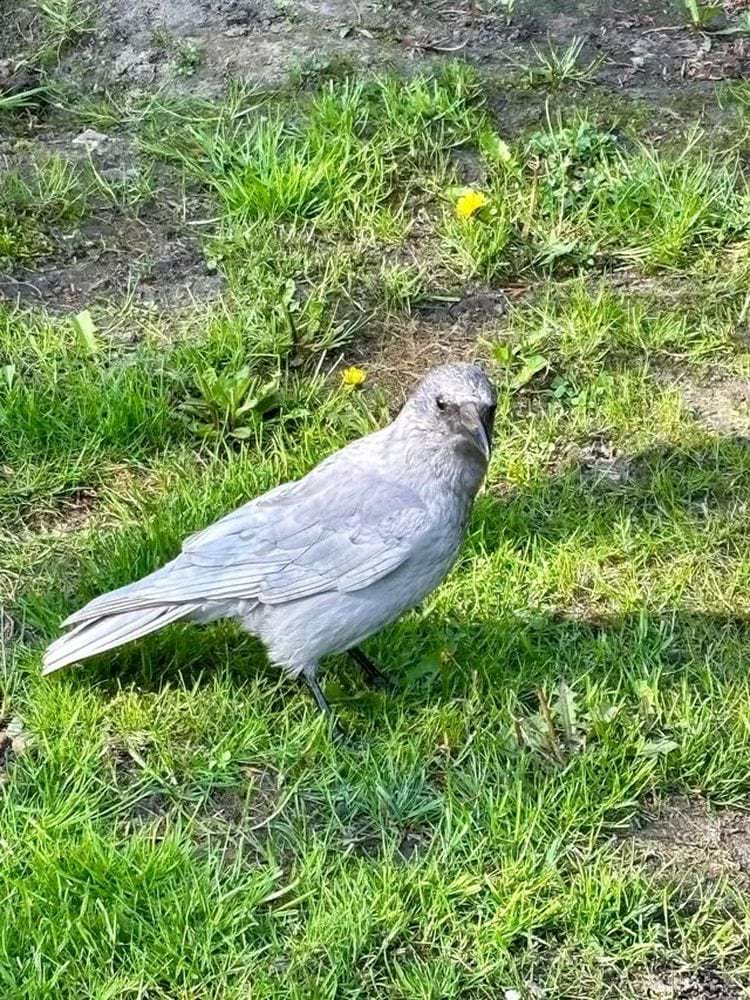 image-20240423151546-3