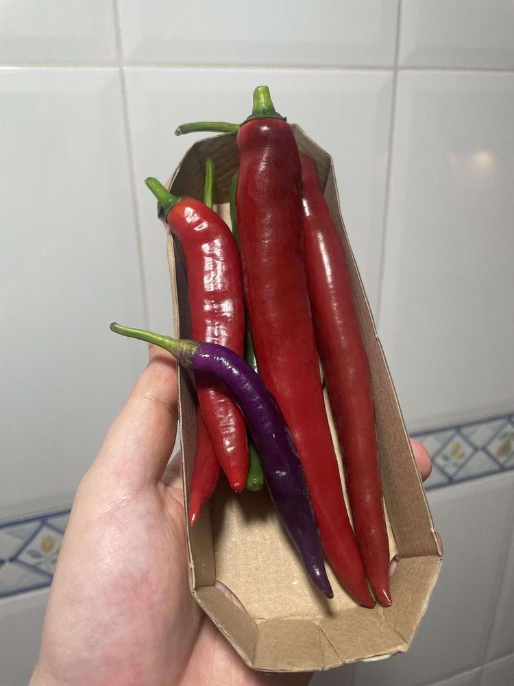 image-20240423151548-4