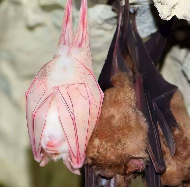 image-20240423151552-5