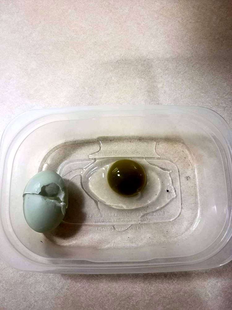 image-20240423151554-6