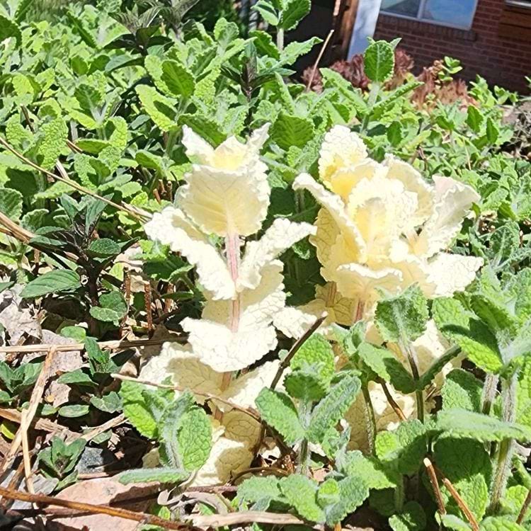 image-20240423151557-7