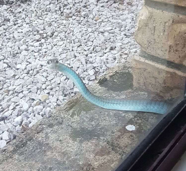 image-20240423151600-8