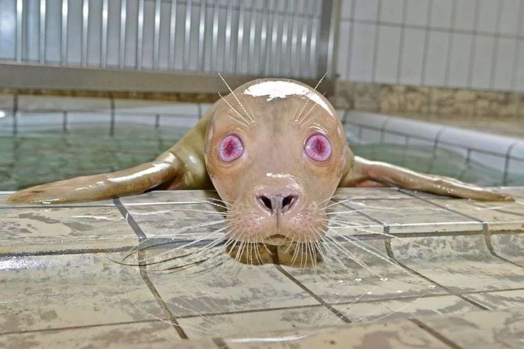 image-20240423151624-15