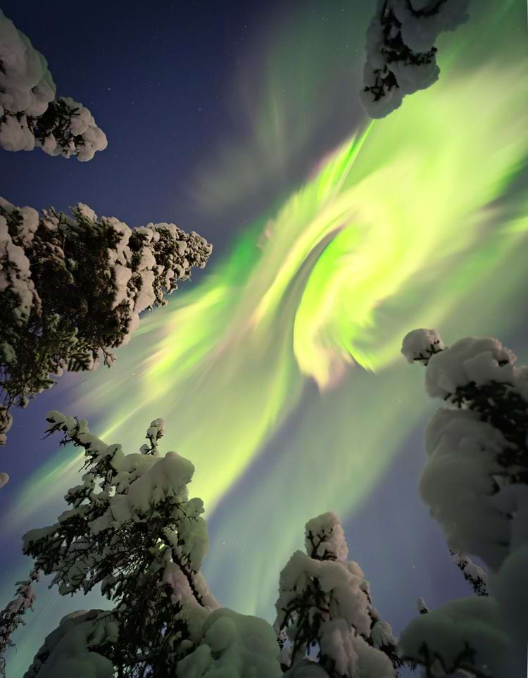 image-20240424114547-1