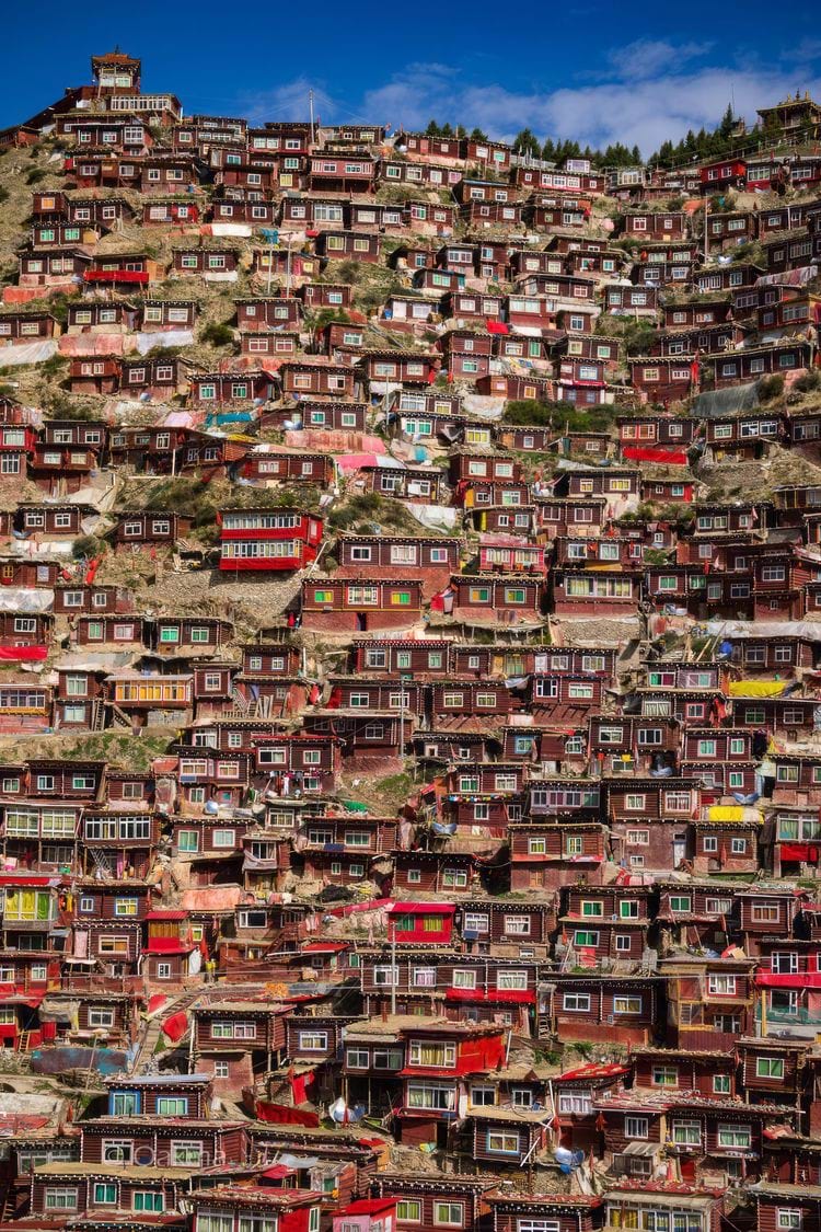 image-20240424114550-2