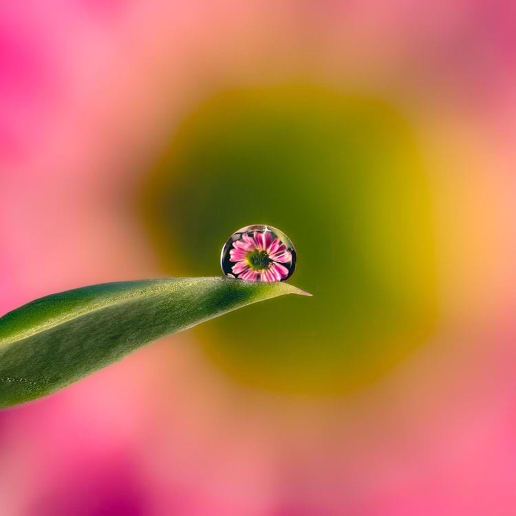 image-20240424114624-12