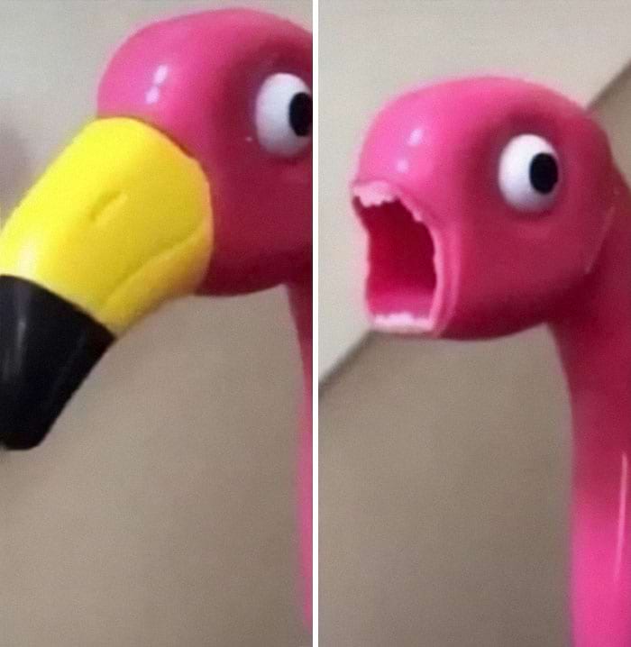 image-20240424124503-2