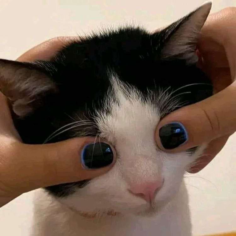 image-20240424124521-8