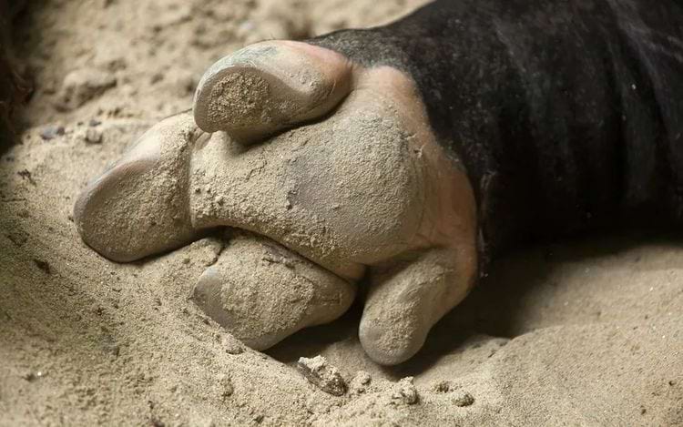 image-20240424170121-5