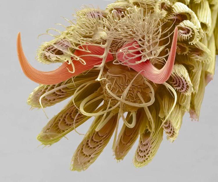 image-20240424170644-7