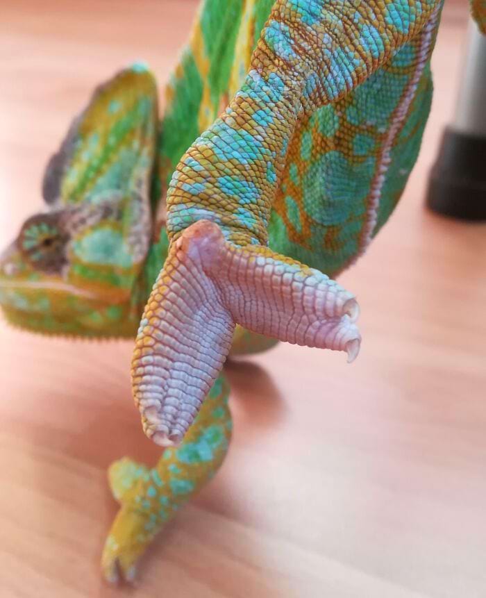 image-20240424171335-10