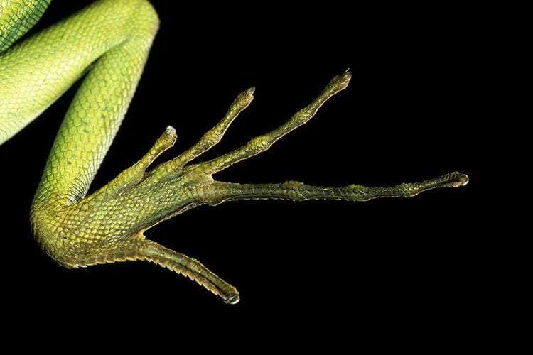 image-20240424171450-13