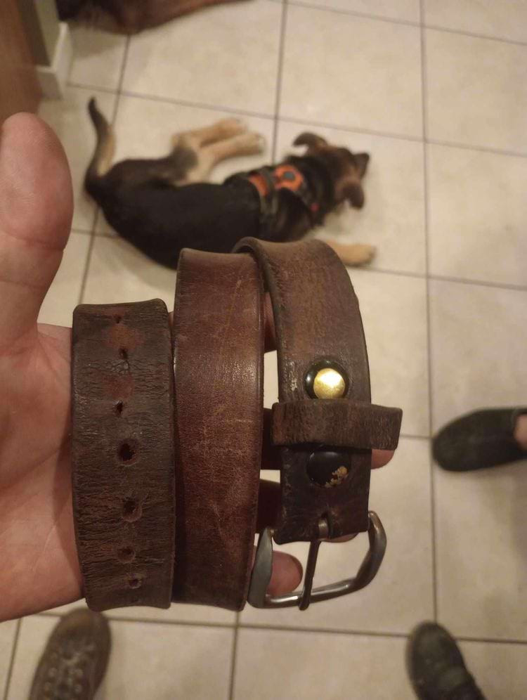 image-20240508131521-4