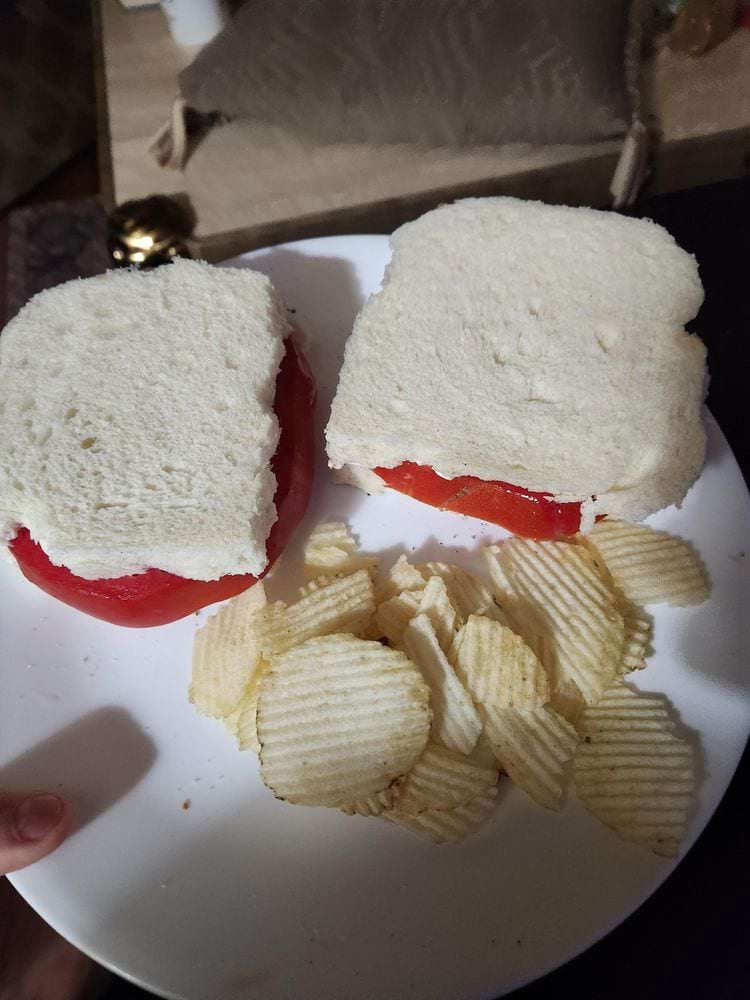 image-20240513124755-6