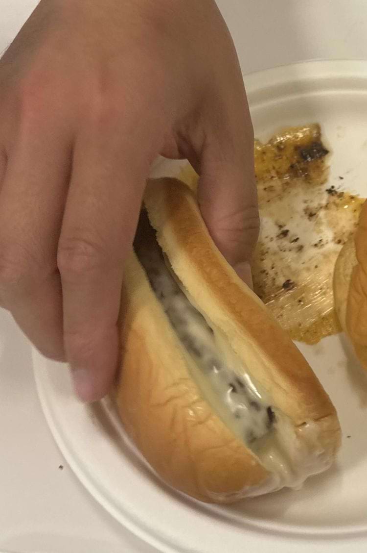 image-20240513124801-8