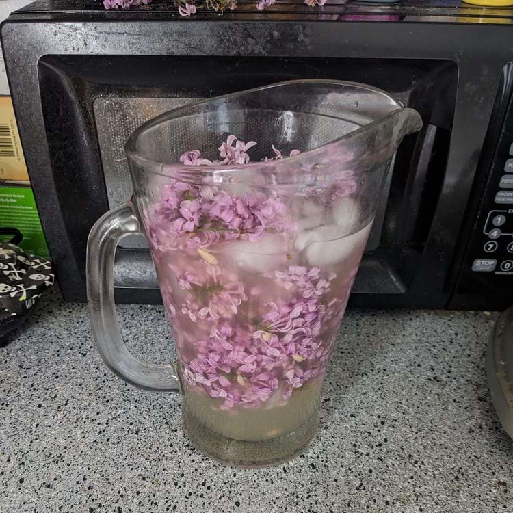 image-20240513124833-16